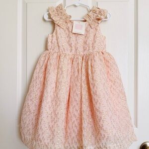 Janie and Jack Pink Gold Sparkle Tulle Dress